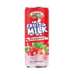 Fruit Milk Erdbeere 24 x 250 ml