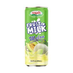 Fruit Milk Melone 24 x 250 ml
